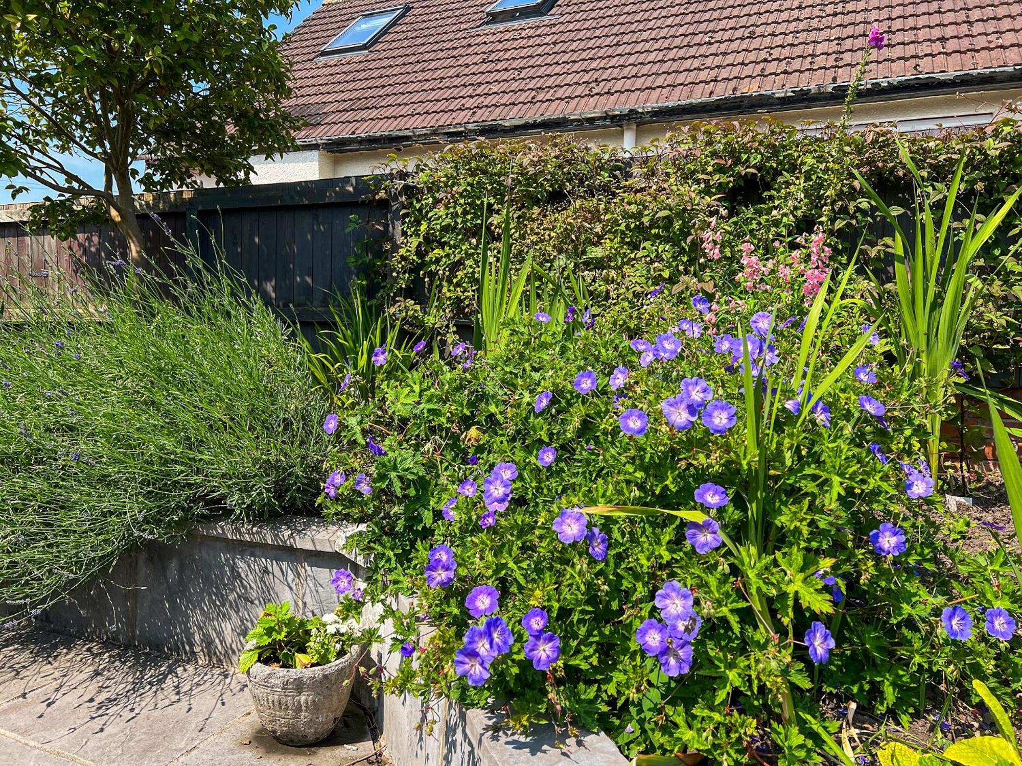 Cwtch Cottage Cardiff Esterno foto